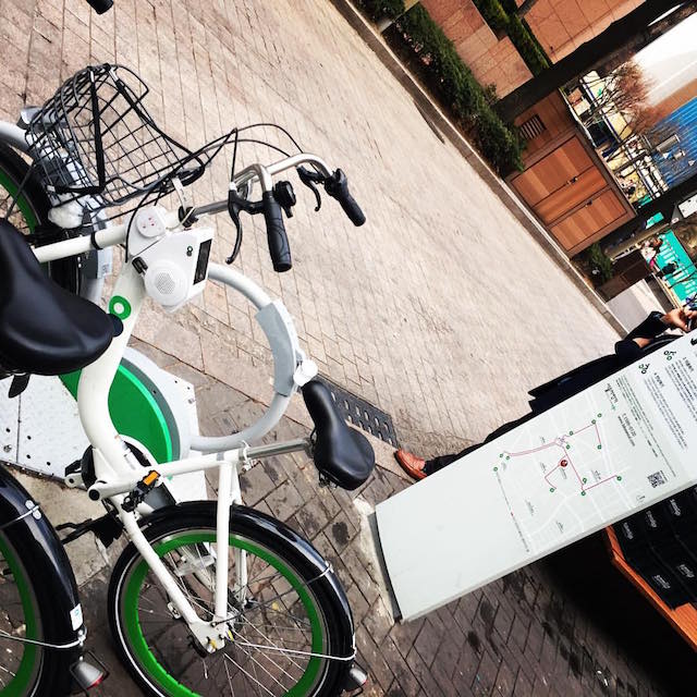 10553698_1123255897705833_3841430868945908784_o